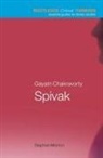 Stephen Morton, Morton Stephen - Gayatri Chakravorty Spival