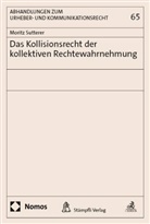 Moritz Sutterer - Das Kollisionsrecht der kollektiven Rechtewahrnehmung