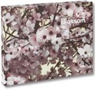 Thomas Demand, Ben Lerner, Thomas Demand - Blossom