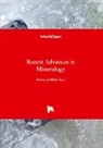 Milo¿ René - Recent Advances in Mineralogy