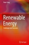 Peter Yang - Renewable Energy