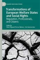 Ole Hammerslev, Stine Piilgaard Porner Nielsen - Transformations of European Welfare States and Social Rights