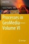 Tatiana Chaplina - Processes in GeoMedia-Volume VI