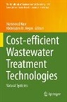 M Negm, Mahmoud Nasr, Abdelazim M. Negm - Cost-efficient Wastewater Treatment Technologies