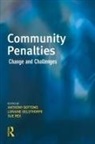 Anthony Bottoms, Loraine Gelsthorpe, Sue Rex - Community Penalties