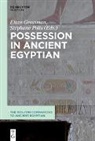 Eitan Grossman, Polis, Stéphane Polis - Possession in Ancient Egyptian