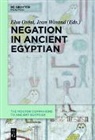 Elsa Oréal, Winand, Jean Winand - Negation in Ancient Egyptian