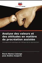 José Andrés Guijarro, Rocío Núñez Calonge - Analyse des valeurs et des attitudes en matière de procréation assistée