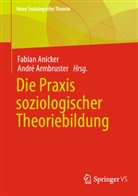 Anicker, Fabian Anicker, Armbruster, André Armbruster - Die Praxis soziologischer Theoriebildung