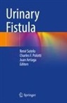 Juan Arriaga, Charles F Polotti, Charles F. Polotti, René Sotelo - Urinary Fistula