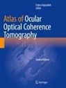 Fedra Hajizadeh - Atlas of Ocular Optical Coherence Tomography