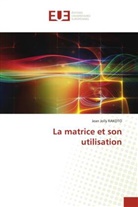 Jean Jolly Rakoto - La matrice et son utilisation