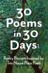 Kris Bigalk - 30 Poems in 30 Days