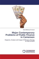 Nana Mbafong Emmanuel - Major Contemporary Problems of Public Finance in Cameroon