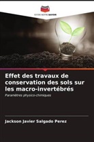 Jackson Javier Salgado Perez - Effet des travaux de conservation des sols sur les macro-invertébrés
