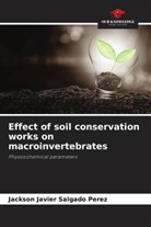 Jackson Javier Salgado Perez - Effect of soil conservation works on macroinvertebrates
