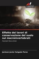 Jackson Javier Salgado Perez - Effetto dei lavori di conservazione del suolo sui macroinvertebrati