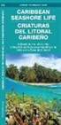 Waterford Press, Waterford Press Waterford Press, Raymond Leung, Leung Raymond Leung Raymond, Jorge Bauza-Ortega - Caribbean Seashore Life (Criaturas del Litoral Caribeno)