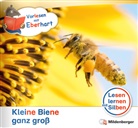Nicole Brandau, Stefanie Drecktrah - Vorlesen mit Eberhart - Kleine Biene ganz groß - Nachbezug Einzelheft