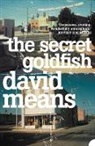 David Means, Means David - The Secret Goldfish