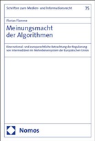 Florian Flamme - Meinungsmacht der Algorithmen