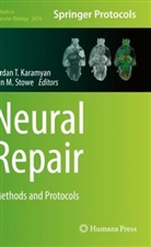 Vardan T Karamyan, Vardan T. Karamyan, M Stowe, Ann M Stowe, Ann M. Stowe, Vardan T Karamyan - Neural Repair