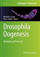 Michelle S Giedt, Michelle S. Giedt, L Tootle, Michelle S Giedt, Tina L Tootle, Tina L. Tootle - Drosophila Oogenesis
