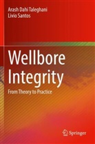 Arash Dahi Taleghani, Livio Santos - Wellbore Integrity