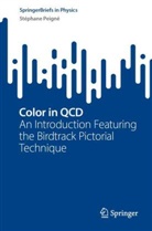 Stéphane Peigné - Color in QCD