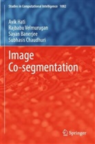 Sayan Banerjee, Sayan et Banerjee, Subhasis Chaudhuri, Avik Hati, Rajbabu Velmurugan - Image Co-segmentation