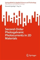 Mustafa Eginligil, Ting Yu - Second-Order Photogalvanic Photocurrents in 2D Materials