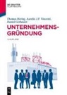 Daniel Gerbaulet, Thomas Hering, Aurelio Vincenti, Aurelio J. F. Vincenti - Unternehmensgründung