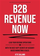 Atte Sallamo - B2B Revenue NOW