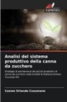 Cosme Orlando Cusumano - Analisi del sistema produttivo della canna da zucchero