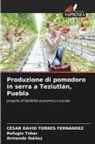 Armando Ibáñez, Refugio Tobar, César David Torres Fernández - Produzione di pomodoro in serra a Teziutlán, Puebla