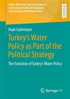 Hayk Gabrielyan - Turkey's Water Policy as Part of the Political Strategy