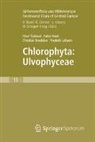 Pavel ¿Kaloud, Christian Boedeker, Christian et Boedeker, Frederik Leliaert, Fabio Rindi, Pavel Skaloud... - Freshwater Flora of Central Europe, Vol 13: Chlorophyta: Ulvophyceae (Süßwasserflora von Mitteleuropa,  Bd. 13: Chlorophyta: Ulvophyceae)