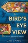 Jan Capps - Bird's Eye View