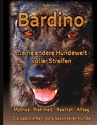 Stefan Klink - Bardino