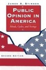 James Stimson, James A Stimson, James A. Stimson - Public Opinion in America