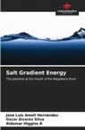 Oscar Alvarez Silva, José Luis Amell Hernández, Aldemar Higgins A - Salt Gradient Energy