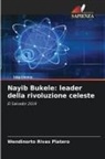 Wendinorto Rivas Platero - Nayib Bukele: leader della rivoluzione celeste