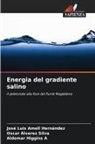Oscar Alvarez Silva, José Luis Amell Hernández, Aldemar Higgins A - Energia del gradiente salino