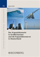 André Brauner - Der Kapazitätsmarkt in Großbritannien und die Kapazitätsreserve in Deutschland
