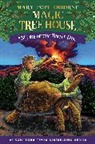 AG Ford, Mary Pope Osborne - Time of the Turtle King