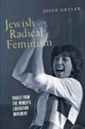 Joyce Antler - Jewish Radical Feminism