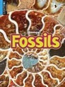 Megan Lappi - Fossils