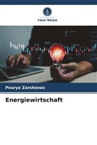 Pourya Zarshenas - Energiewirtschaft