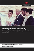 Niria Castillo A., Fidel Rosendo Molina Sanso - Management training