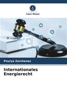 Pourya Zarshenas - Internationales Energierecht